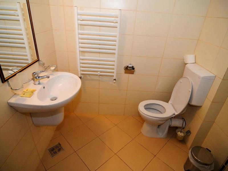 Hotel Termal Geoagiu Băi Buitenkant foto