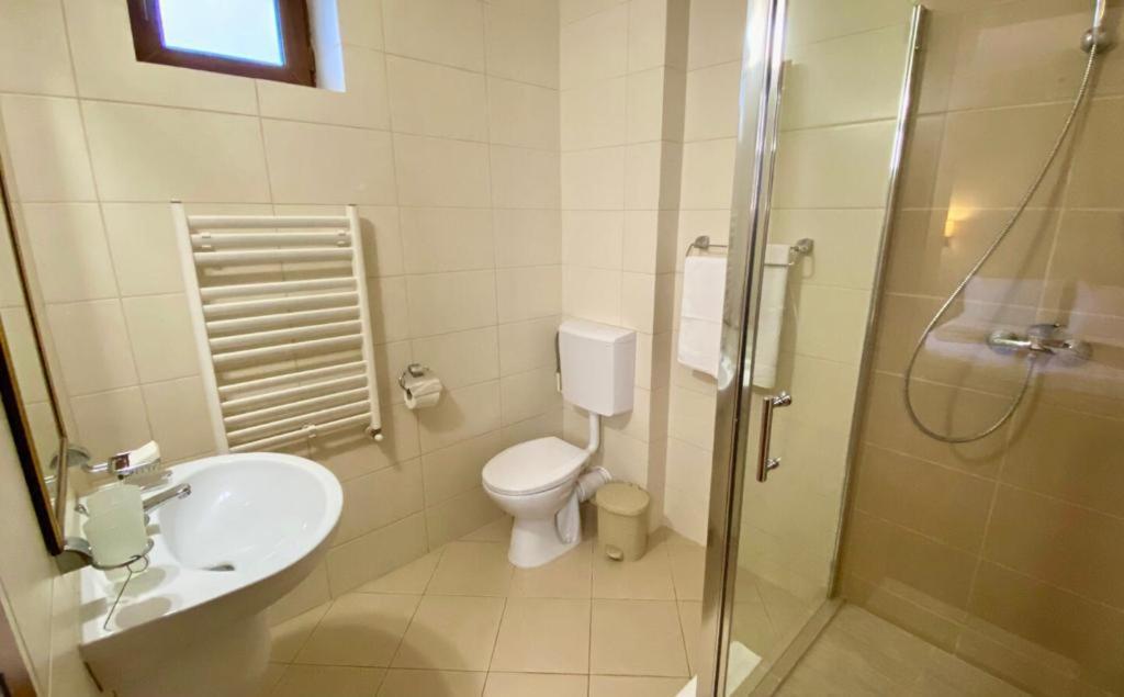 Hotel Termal Geoagiu Băi Buitenkant foto