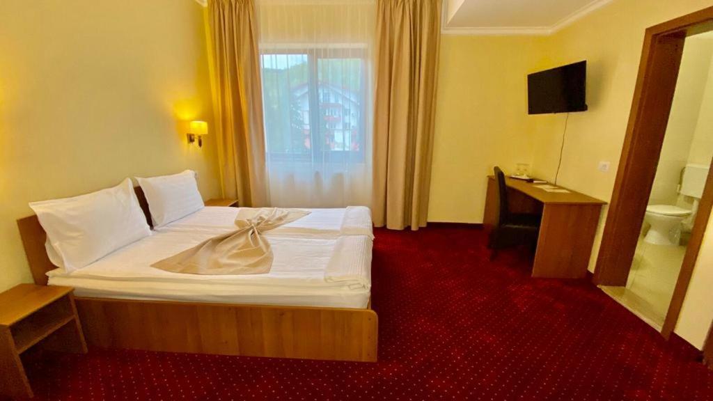 Hotel Termal Geoagiu Băi Buitenkant foto
