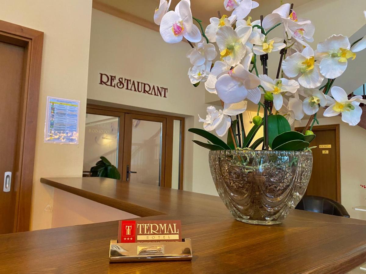 Hotel Termal Geoagiu Băi Buitenkant foto